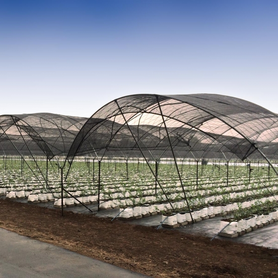 WhatsApp Image 2025-10-27 at 8.49.59 AM(1)