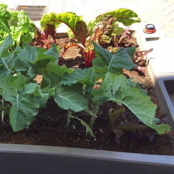 WhatsApp Image 2025-10-27 at 8.50.36 AM(2)